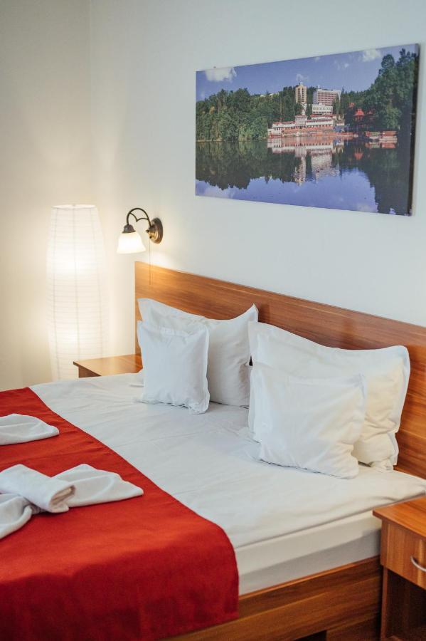 Pensiunea Comfort Sovata Εξωτερικό φωτογραφία